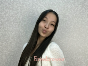 Breebrower