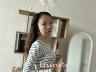 Breecoote