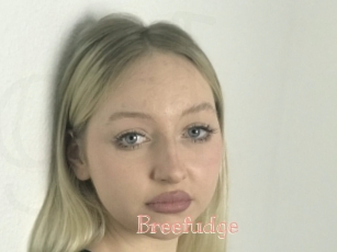 Breefudge