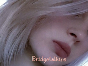 Bridgetalkins