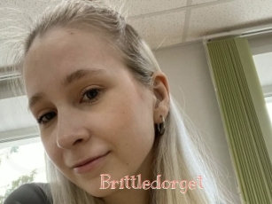 Brittledorget