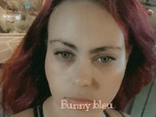 Bunny_bleu