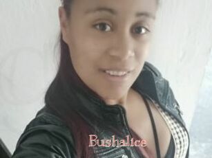 Bushalice