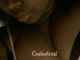 Ceslestrial