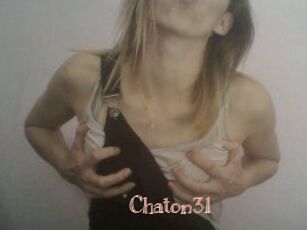 Chaton31