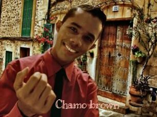 Chamo_brown