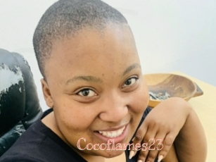 Cocoflames23