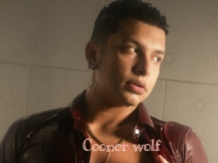 Coonor_wolf