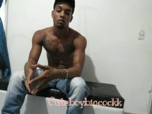 Cuteboybigcockk