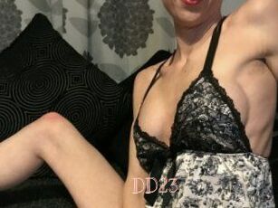 DD23