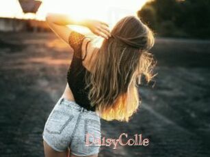 DaisyColle