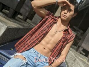 David_Wood