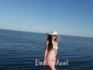 DestinyAnel