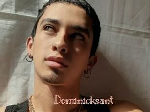 Dominicksant