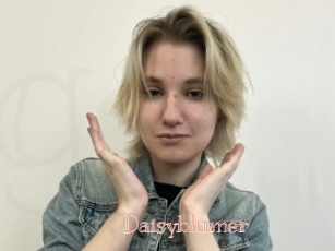 Daisyblumer