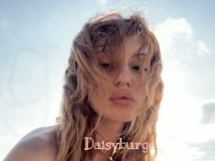 Daisyburge