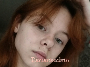 Damariscolvin