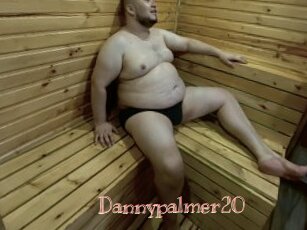 Dannypalmer20