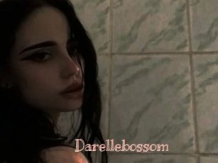 Darellebossom