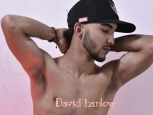 David_harlow