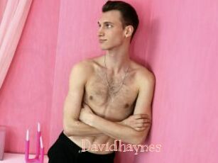 Davidhaynes