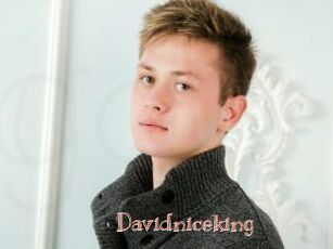 Davidniceking
