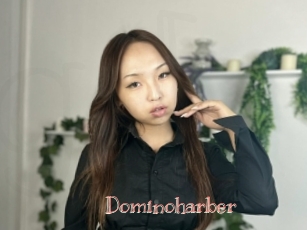 Dominoharber