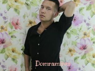 Domramires