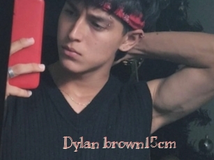 Dylan_brown15cm