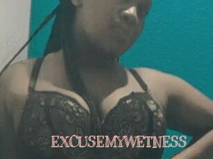 EXCUSEMYWETNESS