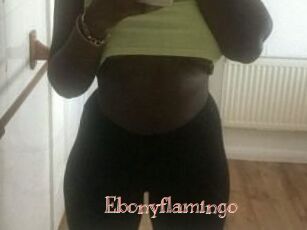 Ebony_flamingo