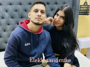 Elektraandmike