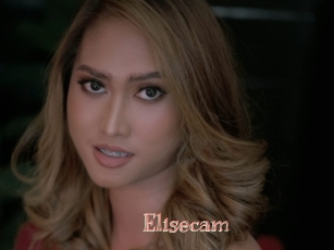 Elisecam