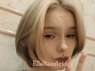 Elletteestridge