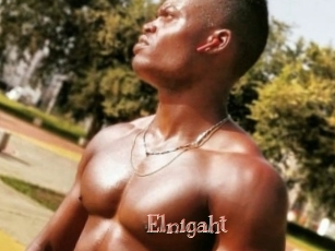 Elnigaht