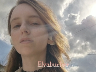 Elvabucher