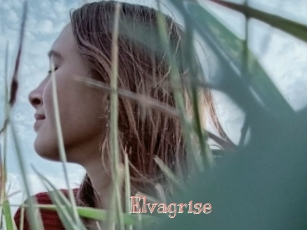 Elvagrise