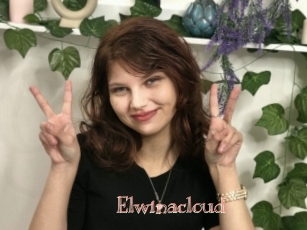 Elwinacloud
