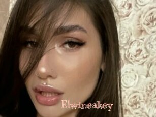 Elwineakey