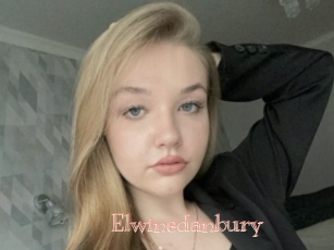 Elwinedanbury