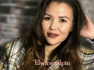 Elwinegalpin