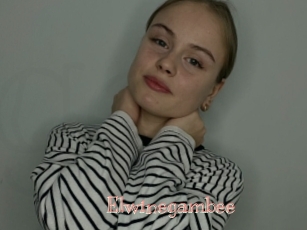 Elwinegambee