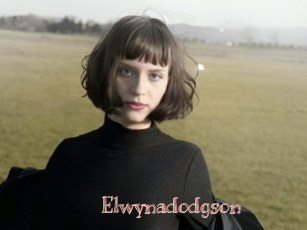 Elwynadodgson