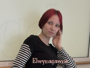 Elwynagawne