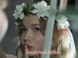 Emilywaldstein