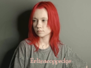 Erlinacoppedge