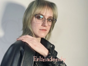 Erlinadendy