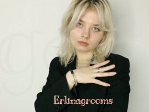 Erlinagrooms