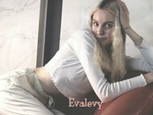 Evalevy