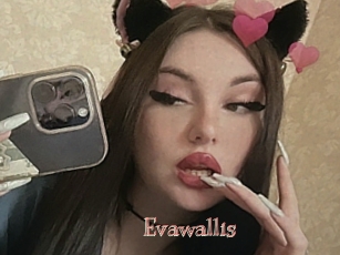 Evawallis